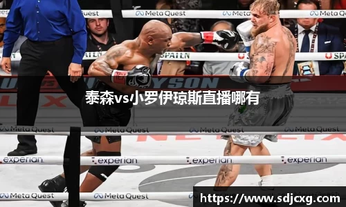 泰森vs小罗伊琼斯直播哪有